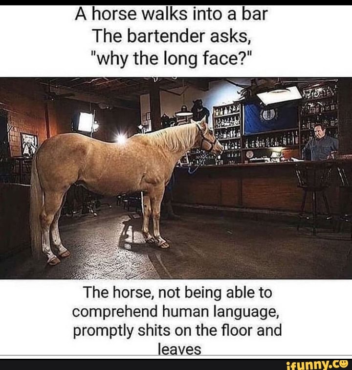 a horse walks into a bar review