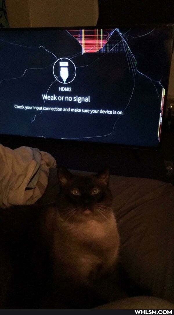 Weak or ne signal your