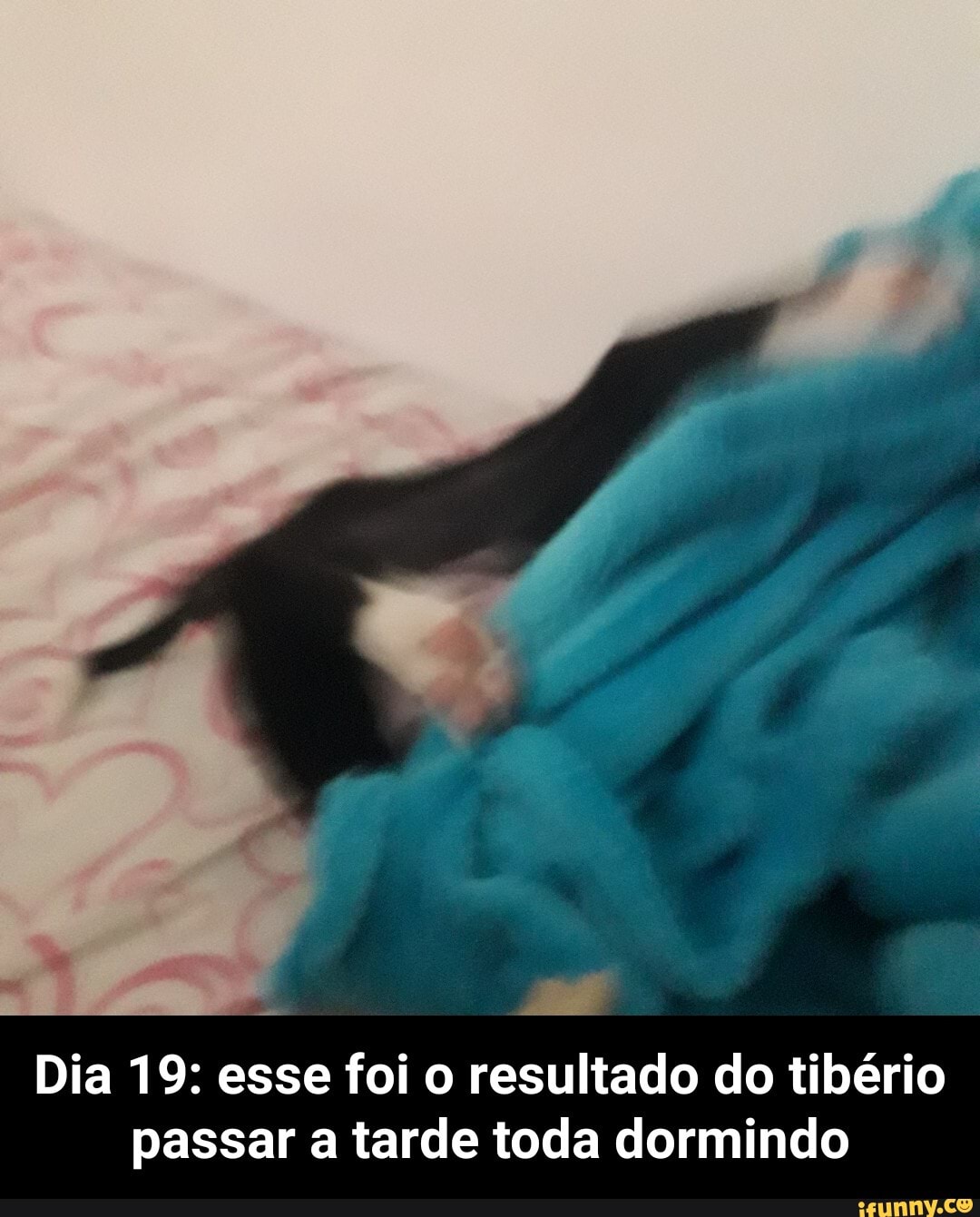 Dia 19: esse foi o resultado do tibério passar a tarde toda dormindo - Dia 19: esse foi o resultado do tibério passar a tarde toda dormindo