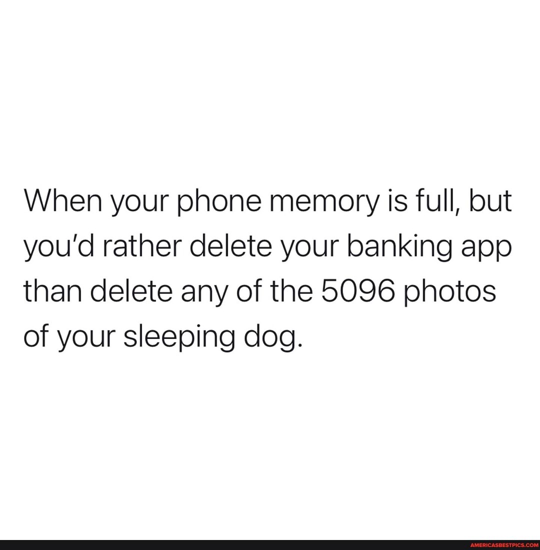 When your phone memory is full, but you'd rather delete your banking app than delete any of the 5096 photos of your sleeping dog.