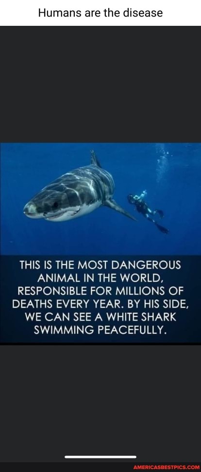 Humans are the disease THIS IS THE MOST DANGEROUS ANIMAL IN THE WORLD ...