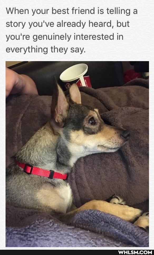When your best friend is telling a story you've already heard, but you're genuinely interested in everything they say.