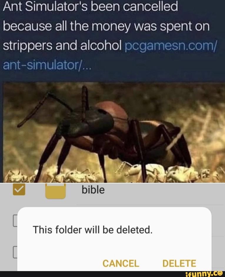 Ant Simulator's been cancelled
because all the money was spent on
strippers and alcohol