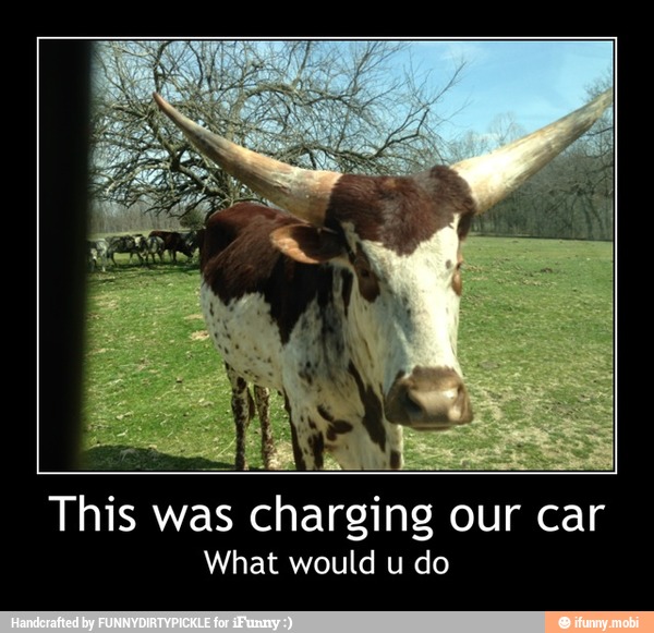 This was charging our car
What would u do - This was charging our car
What would u do