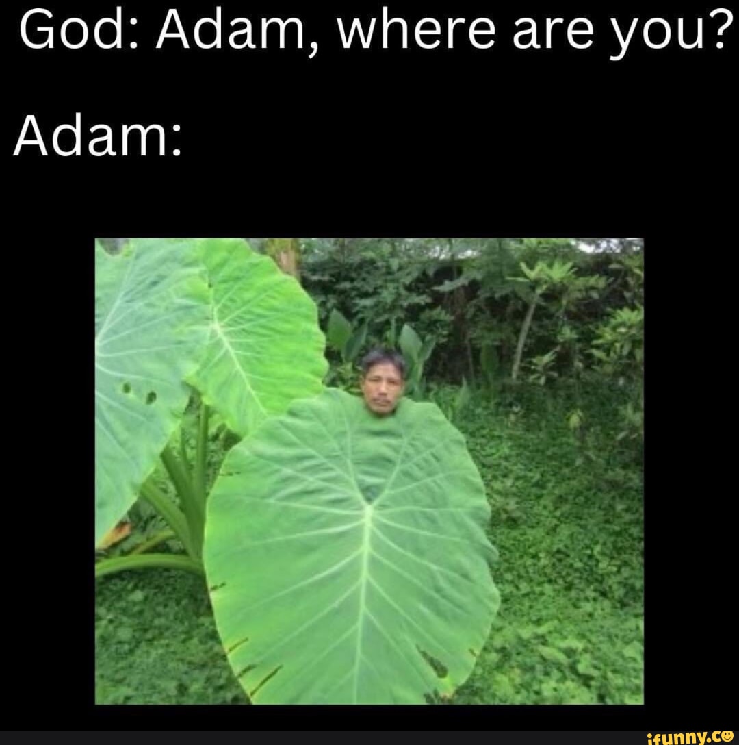 Where you adam