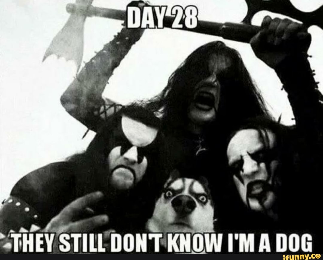 THEY STILL DONT KNOW I'M A DOG