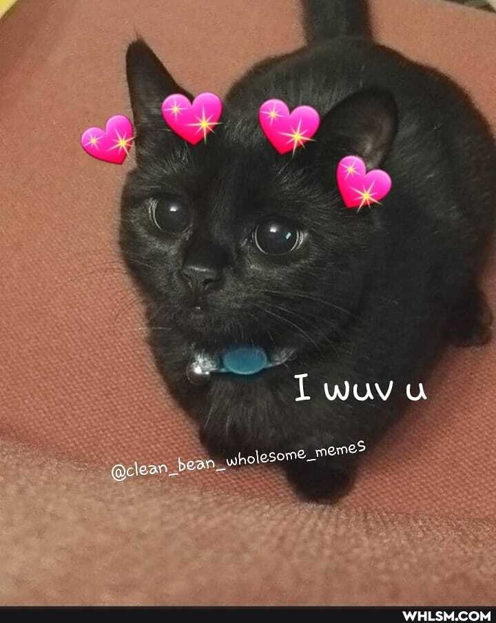 Twovu
@c lean _bean wholeseme meme?