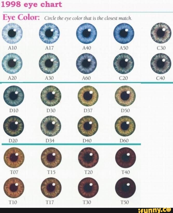 1998 eye chart Eye Color Circle the eye color that is the closest