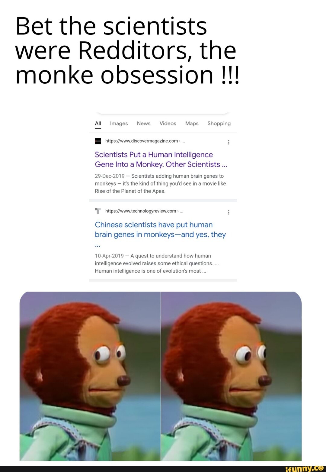 Bet the scientists were Redditors, the monke obsession All Images News ...