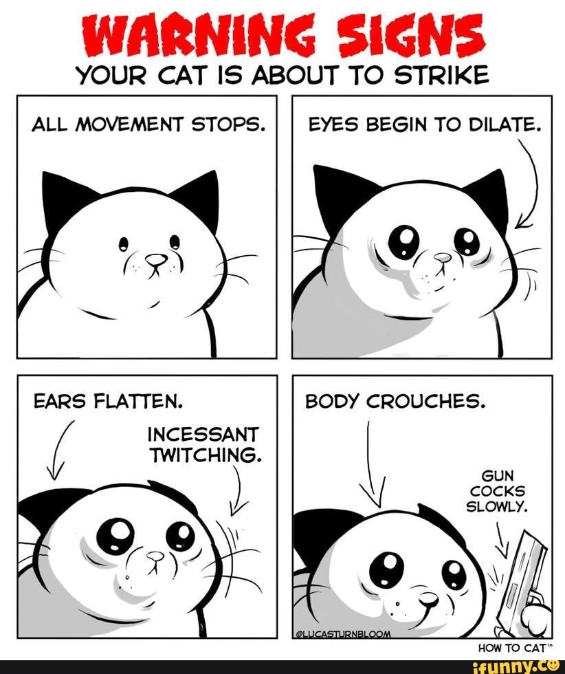 Enjoy some cat memes - WARNING SIGNS YOUR CAT IS ABOUT TO STRIKE ALL ...