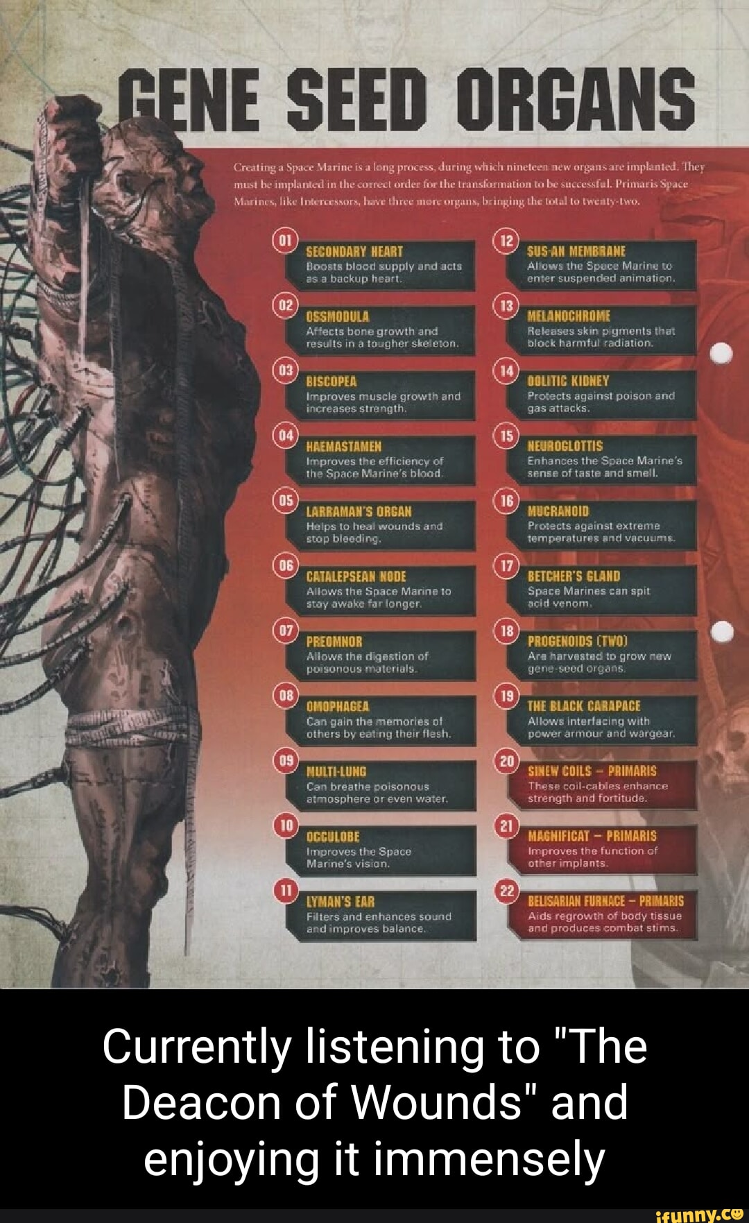 NE SEED ORGANS Creating a Space Marine is a long process, during which ...