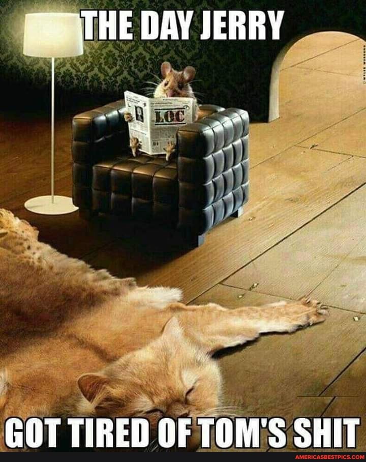 THE DAY JERRY
I fo,
GOT TIRED OF TOM'S SHIT