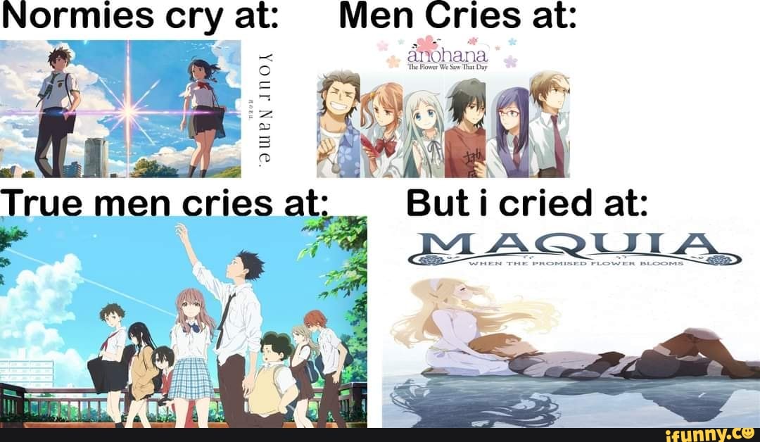 Normies cry at: Men Cries at:
ANOK
anohana
True men cries at: But i cried at:
