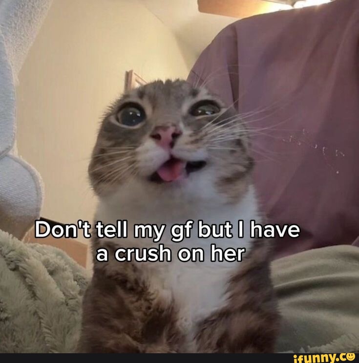  iFunny - the best memes, video, gifs and funny pics in one place Motiv 