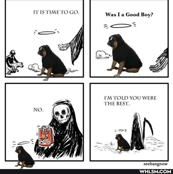IT TIME TO GO. Was I a Good Boy?
I'M TOLD YOU WERE THE BEST.