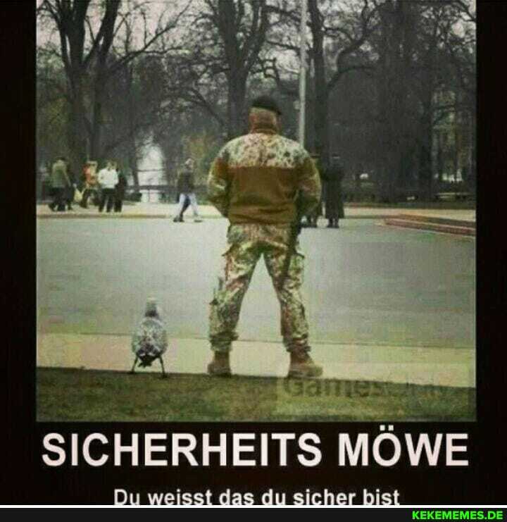 SICHERHEITS MÖWE