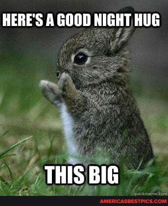 HERE'S A GOOD NIGHT HUG
THIS BIG
