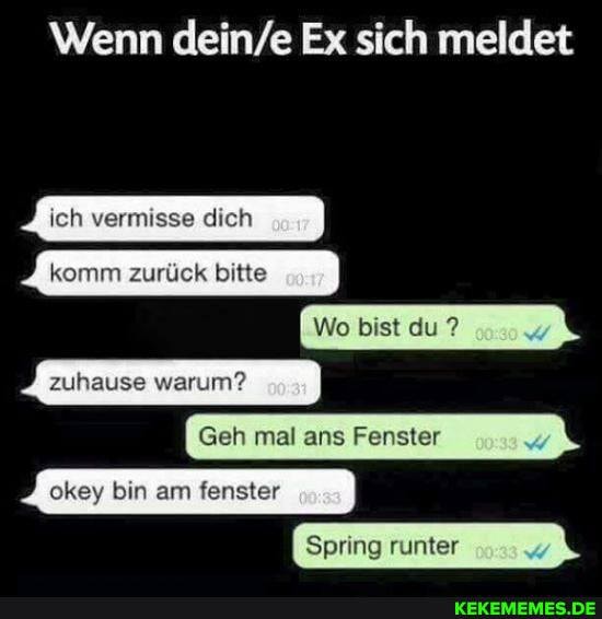 Wenn Ex sich meldet
ich vermisse dich
komm zurück bitte
Wo bist du du?
zuhause warum?
Geh mal ans Fenster
okey bin am fenster
Spring runter 107,