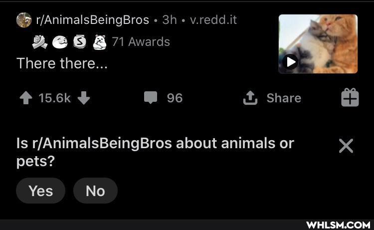 v.redd.it
Awards
There there..
15.6% Share about animals or pets?
Yes No