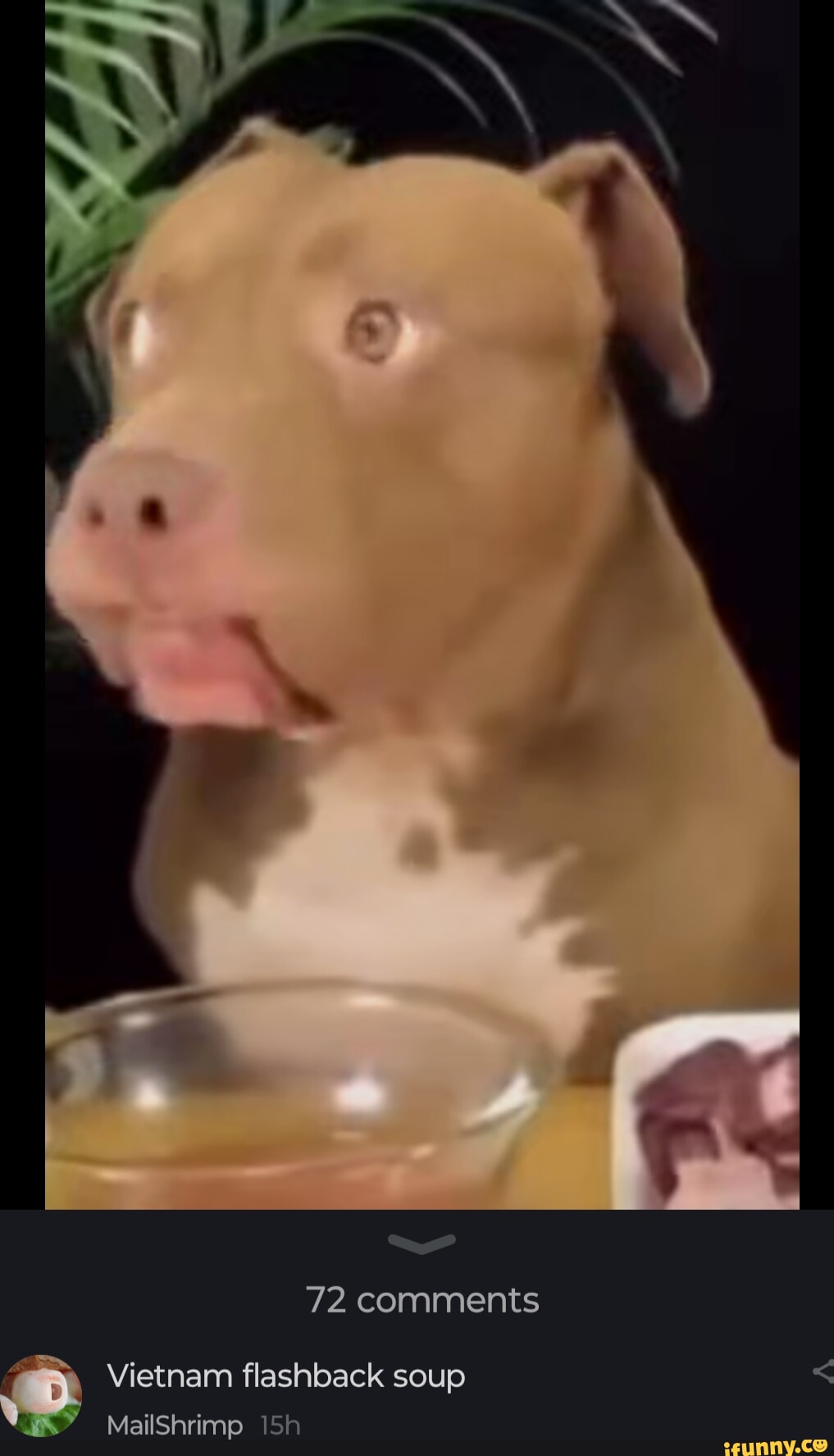 72 comments Vietnam flashback soup MailShrimp - iFunny