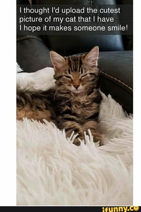I ht I'd upload the cutest picture of my cat that I have
I hope it makes someone smile!