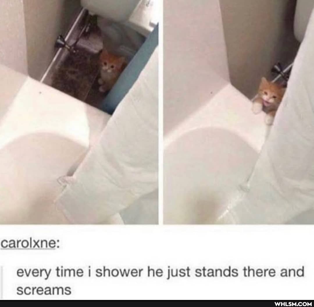 carolxne:
every time i shower he just stands there and screams
