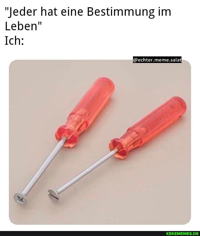 "Jeder hat eine Bestimmung im
Leben"
'@echter.meme.salat:
Ich: