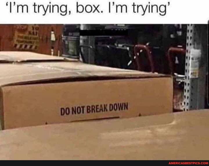 'I'm trying, box. I'm trying'
of