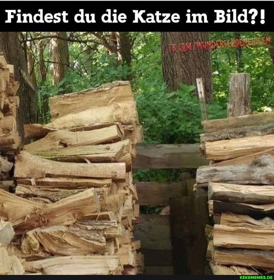 Findest du die Katze im Bild?!