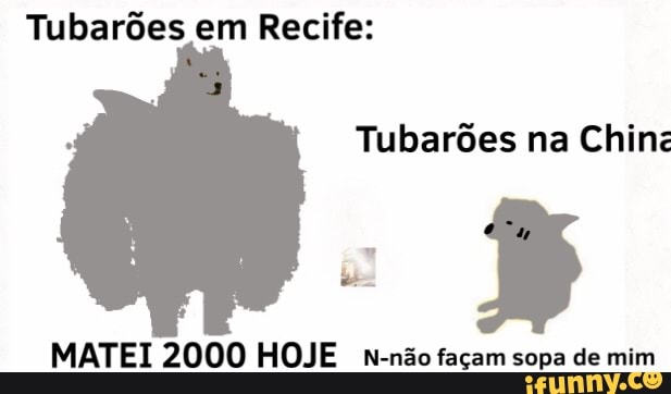 Tubarões em Recife:
Tubarões na Chin:
el
MATEI 2000 HOJE n-não façam sopa de mim
