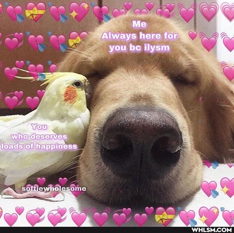 Ma
Always here for you be llysm
who loads of happiness