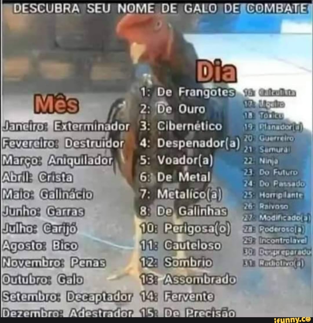 DESCUBRA SEU NOME DE GALO DE COMBATEI
1, De Frangotes
) 2: De Ouro
Eleçminador 3: Cibernético
Feverdiro) Desimiidor 4:
Marços Amguilador Voadora)
Abril 6 De Metal
Malo Galinêcio 7: mm
Sunho" Gerras De Gálinhas
Gauleloso
Novembro" (Penas Sombrio
Outubro" Galo, 137 Assombrado
au
Setembro Decapiadoy Femêno
AS Do