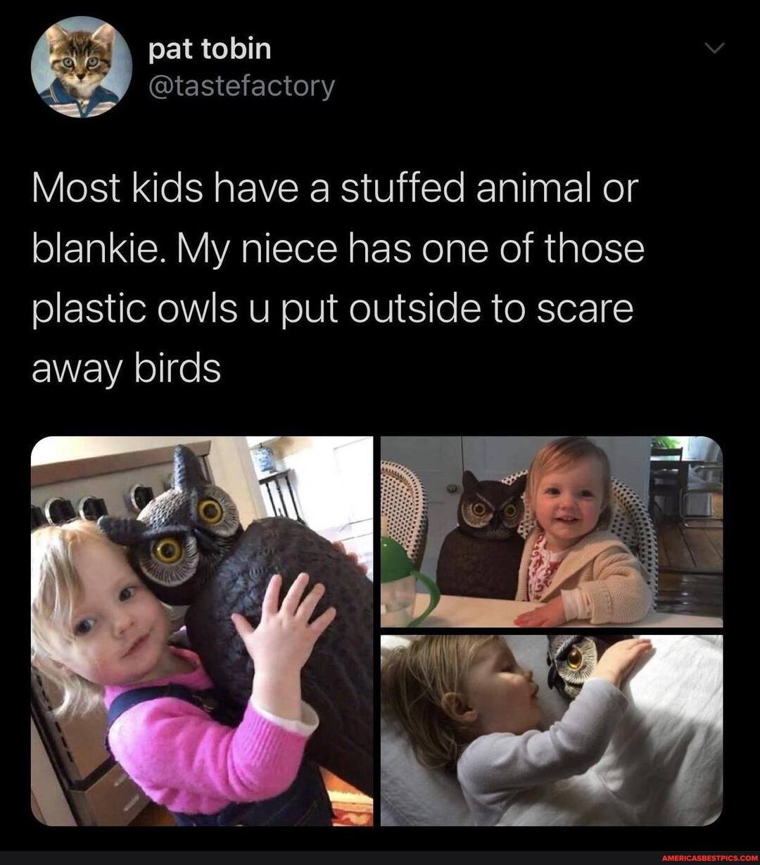 Most kids have a stuffed animal or blankie. My niece has one of those plastic owls u put outside to scare away birds