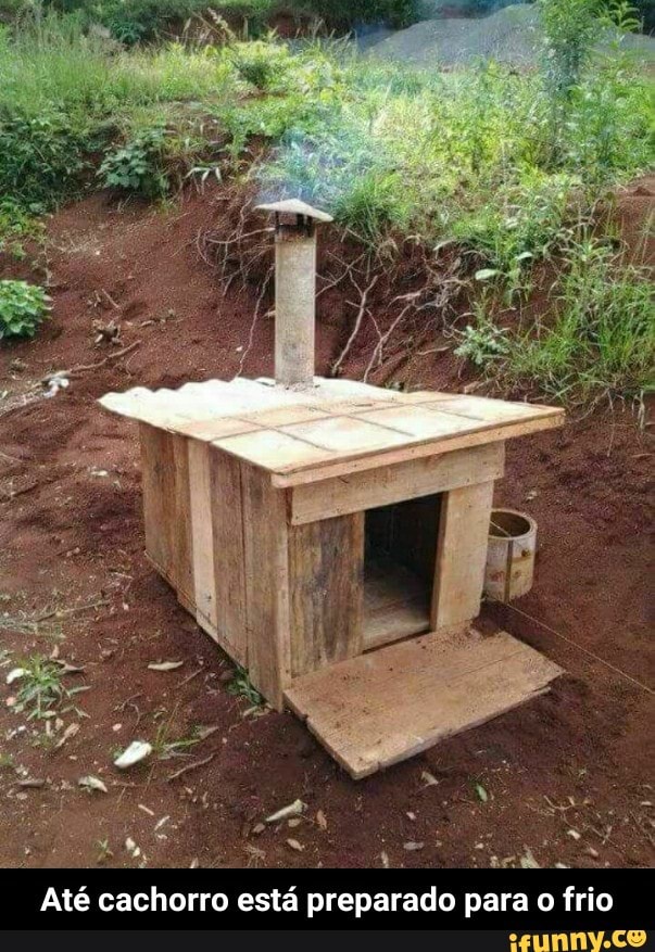 RA
ss SDS ATO ADS
Até cachorro está preparado para o frio - Até cachorro está preparado para o frio