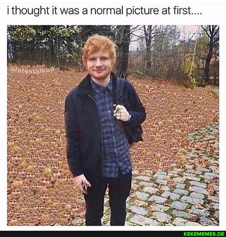 ithought it was a normal picture at first...