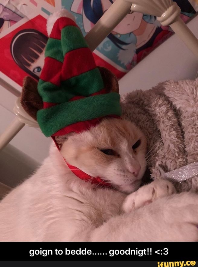 goign to bedde...... goodnigt!! <:3