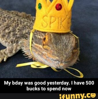 My bday was good yesterday. I have 500
bucks to spend now - My bday was good yesterday. I have 500 bucks to spend now