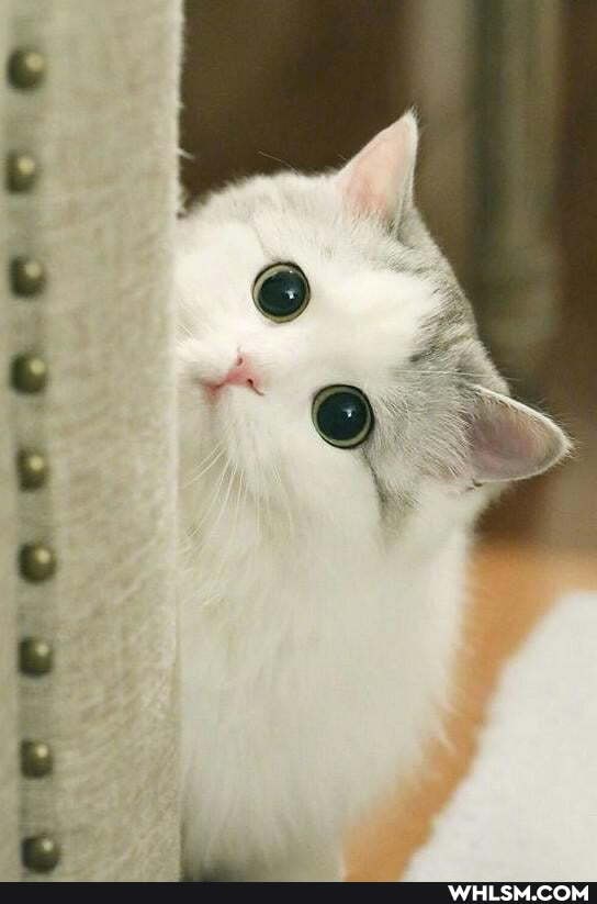 e2uvwuw @.@..af