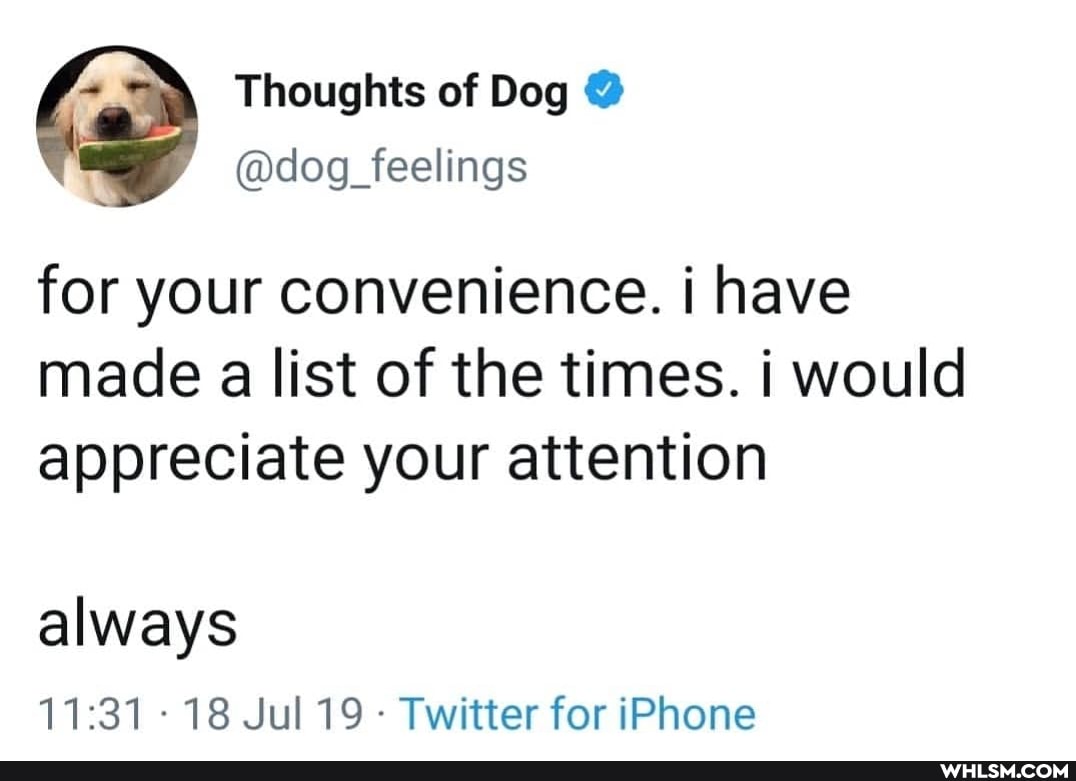 Thoughts of Dog
~ @dog_feelings
for your convenience. have
made a list of the times. would
appreciate your attention
always
- 18 Jul 19 Twitter for iPhone