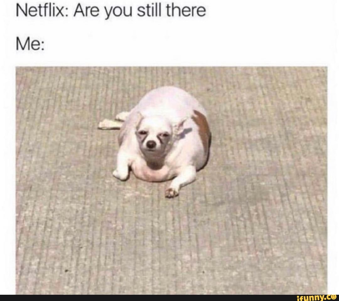 Netflix: Are you still there
Me: