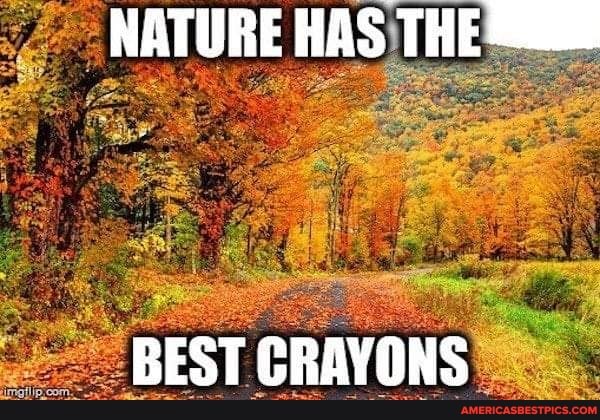 NATURE HAS THE
BEST CRAYONS