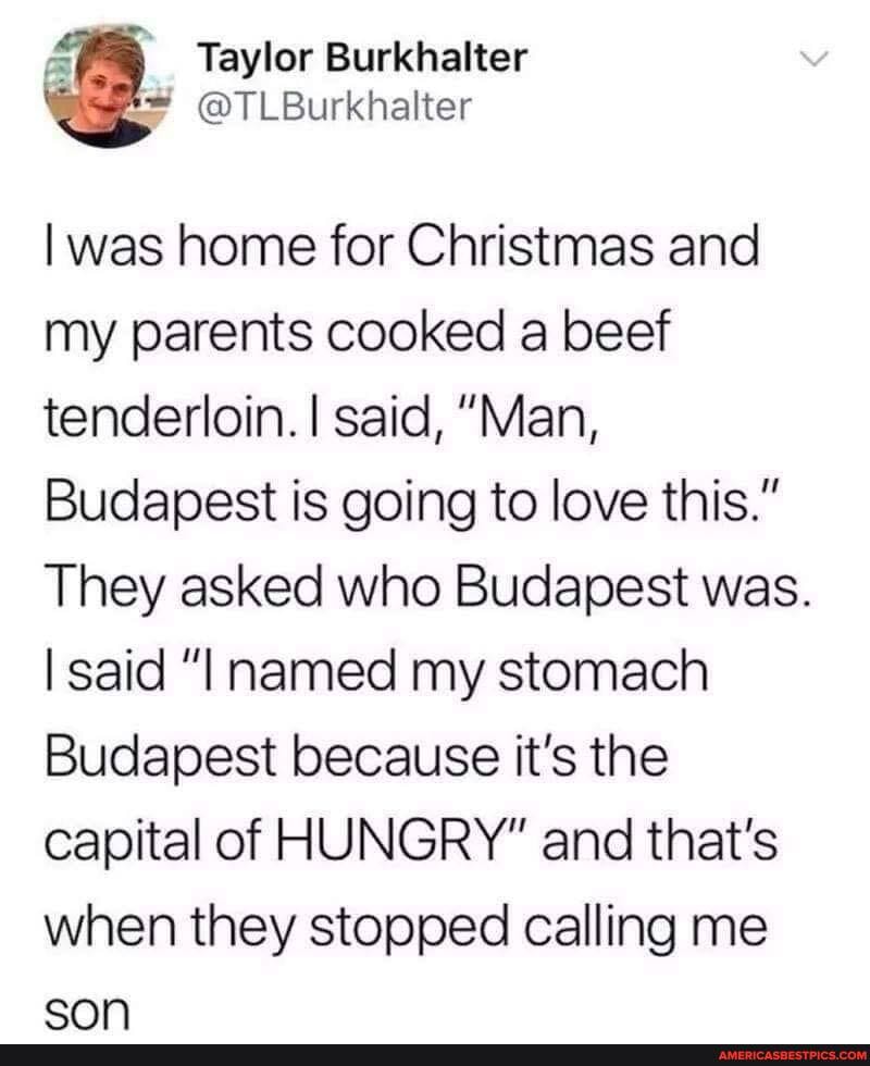 Taylor Burkhalter
@TLBurkhalter
was home for Christmas and my parents cooked a beef tenderloin. I said, "Man,
Budapest is going to love this."
They asked who Budapest was.
said "I named my stomach
Budapest because it's the capital of HUNGRY" and that's when they stopped calling me
cnn