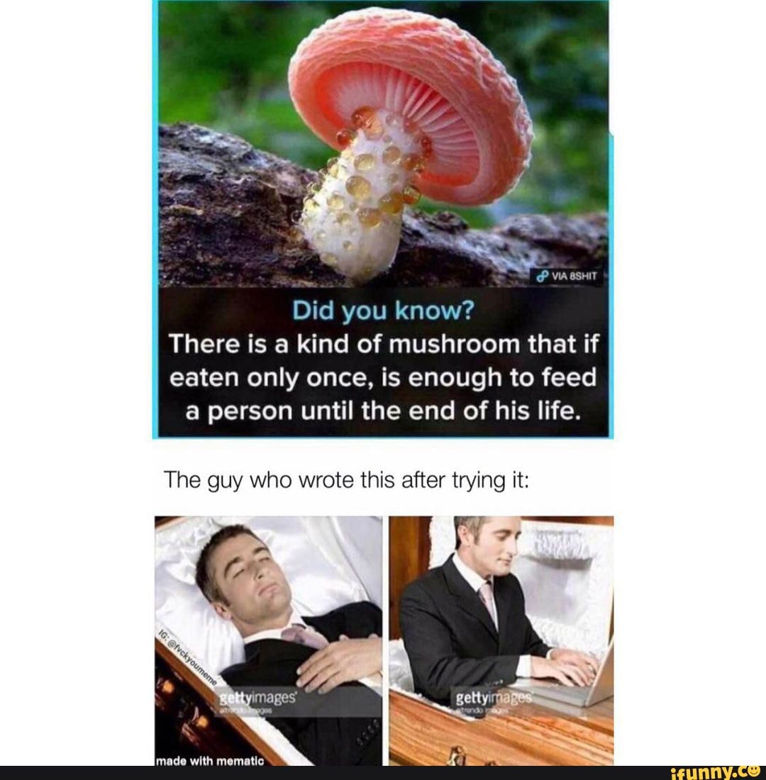 Did you know? There is a kind of mushroom that if eaten only once, is