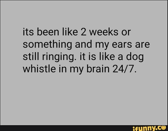 its been like 2 weeks or something and my ears are still ringing. it is like a dog whistle in my brain