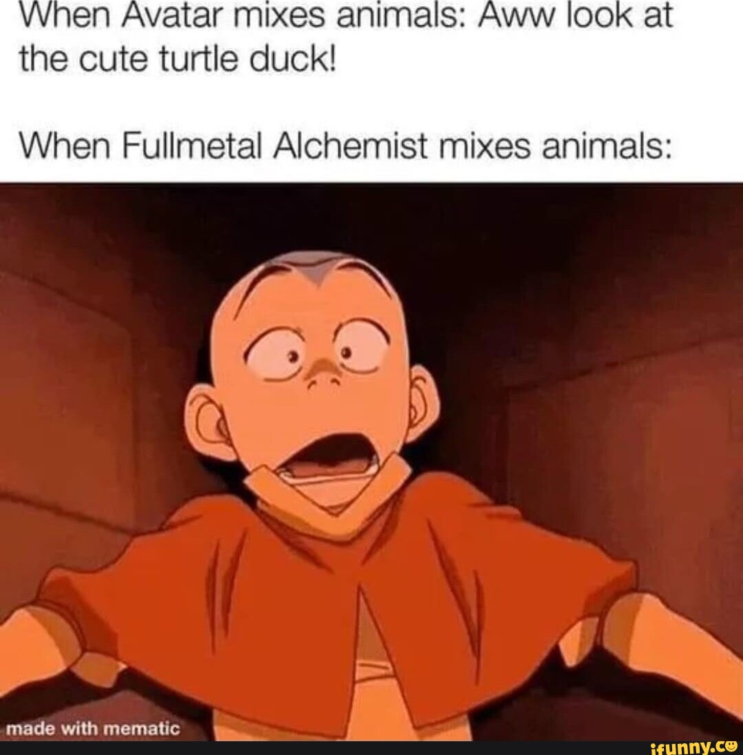 fullmetal alchemist memes