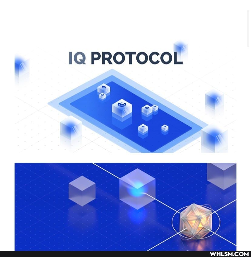IQ PROTOCOL