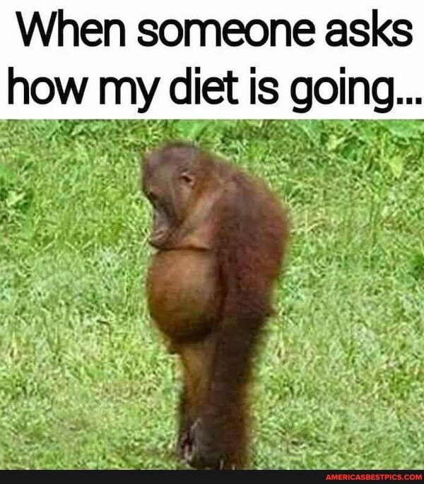 When someone asks how my diet is going...