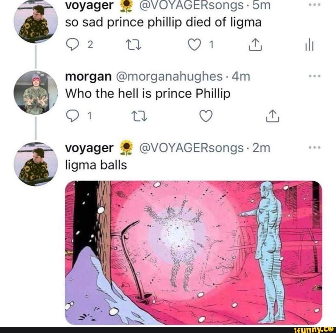 Voyager @VOYAGERsongs: om so sad prince phillip died of ligma 1 ity ill morgan @morganahughes