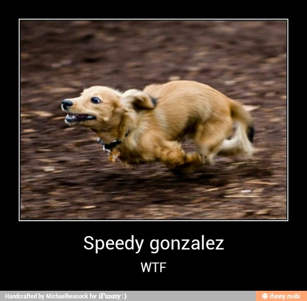 Speedy gonzalez
o - Speedy gonzalez
WTF