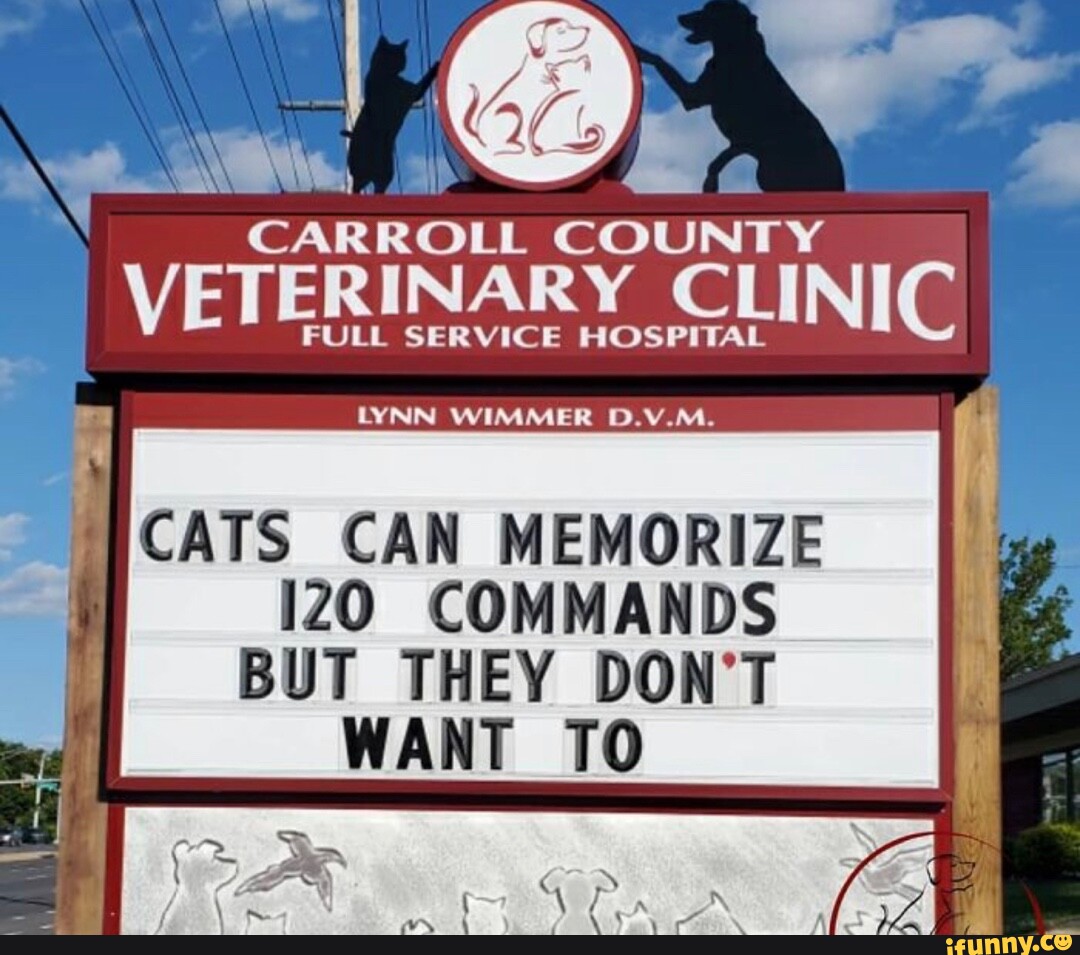 CARROLL COUNTY VETERINARY CLINIC I FULL SERVICE HOSPITAL ra LYNN WIMMER